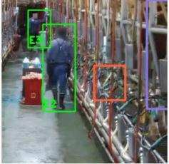 Our software taps into a dairy’s existing security camera, capturing video from a milking shift and uploading it for processing on the company’s secure servers. The company’s video analytics algorithms can spot deviations from what a producer would expect to see in a milking parlor operating at 100 percent efficiency. For example, the company’s service can spot when a milker manually removes a milking unit too soon, doesn’t post-dip a cow, or is on their phone during a milking shift. These deviations are captured as short video clips and made available for producers to view and share in their online dashboards.