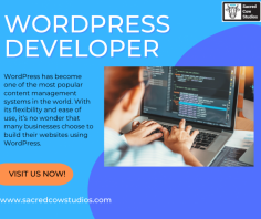 WordPress has become one of the most popular content management systems in the world. With its flexibility and ease of use, it’s no wonder that many businesses choose to build their websites using WordPress. You can also partner with a reliable WordPress developer in California to get the best outcomes. To get the detailed information visit our website now!