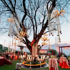 Catapultt is a Destination Weddings and Event Management Company that has strong presence in India, Sri Lanka and Cambodia. We are of the firm belief that states ‘do what you love and success shall follow you
