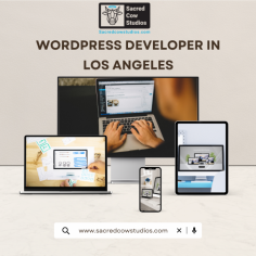 If you own a business in Los Angeles and looking for someone to build you an easy to use website then you should search for the WordPress Developer in Los Angeles because the interface of WordPress is user-friendly and even a non-technical person can control the website after understanding the basic techniques. 

 