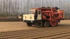 https://snpcmachines.com/brick-machines/bmm400
BMM400-404 is a fully automatic red clay brick making machine by Snpc companies. It can produce 24000 brick/hr with a reduction of 45%cost and natural resources like water, it requires only one-third of water for brick making as required during manual production. This machines requriesa fuel consumtion of 16-18 litres/hr for its working. Raw material needed for its working can be mud, clay or mixture of clay and flyash. This machine is widely used by itta Bhatta, brick making factories or brick kiln and clay brick manufacturers around the globe. 
8826423668