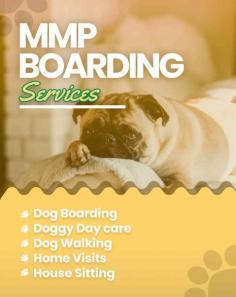 Are You Looking for Dog Boarding Services in Amritsar? Your beloved pet will enjoy a comfortable and safe stay at our expertly managed facility. Count on us to provide you with the best care and a great time! Book your Dog Boarding in Amritsar online today and be worry free; Contact us now for a rewarding dog hostel experience!

