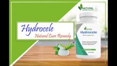 Hydrocele can be a discomforting condition, but with the right approach, it can be effectively managed. Natural Treatments for Hydrocele, such as lifestyle modifications, dietary changes and herbal remedies.