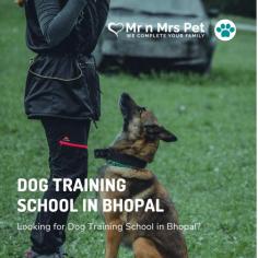 Looking for dog training in Bhopal? Our professional trainers provide personalized programs for obedience training, behaviour modification, and puppy training. Build a strong bond with your furry friend using positive reinforcement techniques. Book your dog trainer in Bhopal online today and be worry-free; Contact us now for a rewarding training experience!

Visit Site: https://www.mrnmrspet.com/dogs-training-in-bhopal
