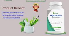 Here we will explore the significance of Herbal Remedies for Hydrocele and provide you with valuable insights on how to naturally cure hydrocele.
