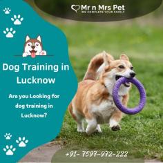 Dog Training in Lucknow	

Are you looking for Dog Training in Lucknow? Our professional trainers provide personalized programs for obedience training, behaviour modification, and puppy training. Build a strong bond with your furry friend using positive reinforcement techniques. Book your dog trainer in Lucknow online today and be worry-free; Contact us now for a rewarding training experience!

View Site: https://www.mrnmrspet.com/dogs-training-in-lucknow
