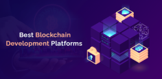 Blockchain technology and Cryptocurrencies have become the buzzword of the modern day. Small and big businesses have been applying this ultimate technology for various applications. Businesses from across the world could easily take advantage of this technology and gain more benefits from them.