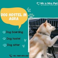 Are You Looking for Dog Boarding Services in Agra? Your beloved pet will enjoy a comfortable and safe stay at our expertly managed facility. Count on us to provide you with the best care and a great time! Book your Dog Boarding in Agra online today and be worry free; Contact us now for a rewarding dog hostel experience!

vist site : https://www.mrnmrspet.com/dog-hostel-in-agra
