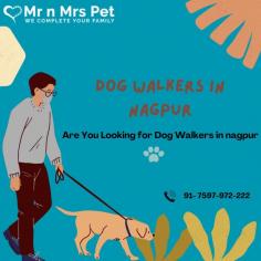 Are You Looking for Dog Walkers in Nagpur? Our experienced team of dog walkers is dedicated to keeping your furry friend active, happy, and well-socialized. Book your dog Walkers online today and be worry-free; Contact us now.
