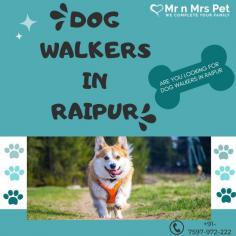 Are You Looking for Dog Walkers in Raipur? Our experienced team of dog walkers is dedicated to keeping your furry friend active, happy, and well-socialized. Book your dog Walkers online today and be worry-free; Contact us now.
visit site : https://www.mrnmrspet.com/dog-walking-in-raipur

