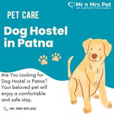 Are You Looking for Dog Boarding Services in Patna? Your beloved pet will enjoy a comfortable and safe stay at our expertly managed facility. Count on us to provide you with the best care and a great time! Book your Dog Boarding in Patna online today and be worry free; Contact us now for a rewarding dog hostel experience!
visit site : https://www.mrnmrspet.com/dog-hostel-in-patna
