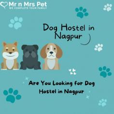 Are You Looking for Dog Boarding Services in Nagpur? Your beloved pet will enjoy a comfortable and safe stay at our expertly managed facility. Count on us to provide you with the best care and a great time! Book your Dog Boarding in Nagpur online today and be worry free; Contact us now for a rewarding dog hostel experience!
