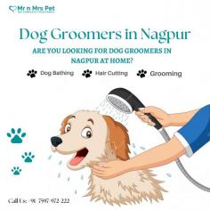 Dog Groomers in Nagpur	

Are you Looking for Dog Groomers in Nagpur at Home? Our expert and certified pet groomers in Nagpur will come to your home and groom your pet. Book your dog groomers in Nagpur today and be worry-free; Contact us now for a rewarding grooming experience!

View Site: https://www.mrnmrspet.com/dog-grooming-in-nagpur

