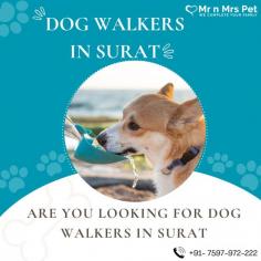 Are You Looking for Dog Walkers in Surat? Our experienced team of dog walkers is dedicated to keeping your furry friend active, happy, and well-socialized. Book your dog Walkers online today and be worry-free; Contact us now.
