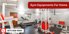 Bring the gym to your doorstep! Explore our selection of gym equipment for home and enjoy the convenience of working out on your schedule, without leaving the house.
