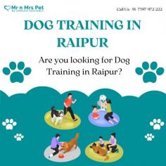 Are you looking for Dog Training in Raipur? Our professional trainers provide personalized programs for obedience training, behaviour modification, and puppy training. Build a strong bond with your furry friend using positive reinforcement techniques. Book your dog trainer in Raipur online today and be worry-free; Contact us now for a rewarding training experience!

View Site: https://www.mrnmrspet.com/dogs-training-in-raipur
