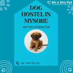 Are You Looking for Dog Boarding Services in Mysore? Your beloved pet will enjoy a comfortable and safe stay at our expertly managed facility. Count on us to provide you with the best care and a great time! Book your Dog Boarding in Mysore online today and be worry free; Contact us now for a rewarding dog hostel experience!
