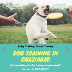 Dog Training in Ghaziabad	

Looking for Dog Training in Ghaziabad? Our professional trainers provide personalized programs for obedience training, behaviour modification, and puppy training. Build a strong bond with your furry friend using positive reinforcement techniques. Book your dog trainer in Ghaziabad online today and be worry-free; Contact us now for a rewarding training experience!

View Site: https://www.mrnmrspet.com/dogs-training-in-ghaziabad
