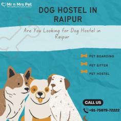Are You Looking for Dog Boarding Services in Raipur? Your beloved pet will enjoy a comfortable and safe stay at our expertly managed facility. Count on us to provide you with the best care and a great time! Book your Dog Boarding in Raipur online today and be worry free; Contact us now for a rewarding dog hostel experience!
