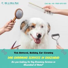 Dog Groomers in Ghaziabad	

Are you Looking for Dog Groomers in Ghaziabad at Home? Our expert and certified pet groomers in ghaziabad will come to your home and groom your pet. Book your dog groomers in ghaziabad today and be worry-free; Contact us now for a rewarding grooming experience!

View Site: https://www.mrnmrspet.com/dog-grooming-in-ghaziabad
