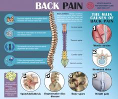 Back pain relief is one of the most common reasons people seek medical attention, and effective back pain treatment requires extensive knowledge and experience. Dr. Febin Melepura, a highly regarded best-in-class NYC back pain specialist, regularly diagnoses and treats back pain using the latest non-surgical & surgical options at his pain management clinic in Midtown Manhattan. Whether you suffer from chronic or intermittent back pain, meet one of the country’s top spine specialists to receive the care you need in safe, highly experienced, and reassuring hands.

You’re certainly not alone if you’ve struggled at some point in your life with pain in your back. It’s one of the most common reasons Americans visit pain management doctors. Pain in the back is the number one cause of disability too. The source of the discomfort may vary, but everyone wants to know how to relieve back pain. And even though the severity you experience may range from a dull ache to a stabbing sting, relief is at the forefront of your mind when it’s happening.

Treatment for back pain varies almost as much as the causes and pain levels. Build a solid relationship with a pain specialist, and together, you can prevent your condition from getting worse, reduce your suffering and even find the most effective treatments.

Dr. Melepura and a team of best-rated New York spine specialists are using advanced treatment modalities to provide an accurate diagnosis and establish a treatment plan to greatly reduce the recovery time.

Read more: https://www.sportspainmanagementnyc.com/back-pain-treatment-doctor-specialist-nyc/

Sports Injury & Pain Management Clinic of New York
36 West 44th Street, Ste 1416,
New York, NY 10036
(212) 621-7746
Web Address https://www.sportspainmanagementnyc.com
https://sportspainmanagementnyc.business.site/
E-mail info@sportspainmanagementnyc.com

Our location on the map: https://g.page/pain-management-doctor-nyc

Nearby Locations:
Little Brazil | Garment District | Koreatown | Murray Hill | Hell's Kitchen
10036 | 10119 | 10001 | 10016, 10017

Working Hours:
Monday: 9:00 am - 8:00 pm
Tuesday: 9:00 am - 8:00 pm
Wednesday: 9:00 am - 8:00 pm
Thursday: 9:00 am - 8:00 pm
Friday: 9:00 am - 8:00 pm
Saturday: CLOSED
Sunday: CLOSED

Payment: cash, check, credit cards.