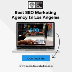 If you are looking for SEO Marketing Agency in Los Angeles then you are suggested to visit the website and look for what they provide. Once you visit the website, you will come to know about the SEO Techniques in detail that must help you in promoting your business online and get more and more traffic to your website. SEO techniques can make your online presence strong and give you other financial benefits.

