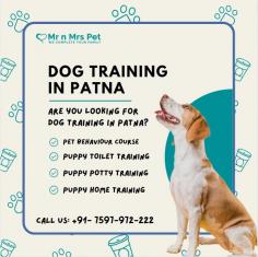 Dog Training in Patna	

Are you looking for Dog Training in Patna? Our professional trainers provide personalized programs for obedience training, behaviour modification, and puppy training. Build a strong bond with your furry friend using positive reinforcement techniques. Book your dog trainer in Patna online today and be worry-free; Contact us now for a rewarding training experience!

View Site: https://www.mrnmrspet.com/dogs-training-in-patna

