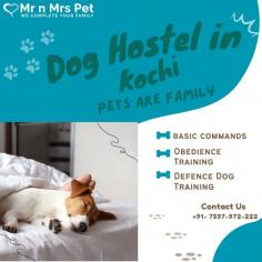 Are You Looking for Dog Boarding Services in Kochi? Your beloved pet will enjoy a comfortable and safe stay at our expertly managed facility. Count on us to provide you with the best care and a great time! Book your Dog Boarding in Kochi online today and be worry free; Contact us now for a rewarding dog hostel experience!

vist site : https://www.mrnmrspet.com/dog-hostel-in-kochi
