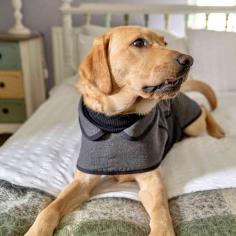 Check out our dog winter coat selection for the very best in unique or custom, handmade pieces from Dudley & Co. 