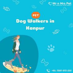 Are You Looking for Dog Walkers in Kanpur? Our experienced team of dog walkers is dedicated to keeping your furry friend active, happy, and well-socialized. Book your dog Walkers online today and be worry-free; Contact us now.
VISIT SITE : https://www.mrnmrspet.com/dog-walking-in-kanpur
