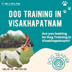 Dog Training in Visakhapatnam	

Are you looking for Dog Training in Visakhapatnam? Our professional trainers provide personalized programs for obedience training, behaviour modification, and puppy training. Build a strong bond with your furry friend using positive reinforcement techniques. Book your dog trainer in Visakhapatnam online today and be worry-free; Contact us now for a rewarding training experience!

View Site: https://www.mrnmrspet.com/dogs-training-in-visakhapatnam

