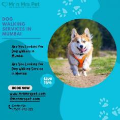 Dog Walking Services in Mumbai, Maharashtra: Book a highly-trained dog walker & dog walking service in Mumbai. We connect Mumbai’s best dog walkers & pet sitters near you, who offers insured and secured pet walking services.
visit site : https://www.mrnmrspet.com/dog-walking-in-mumbai
