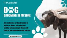 Are you Looking for Dog Groomers in Mysore at Home? Our expert and certified pet groomers in Mysore will come to your home and groom your pet. Book your dog groomers in Mysore today and be worry-free; Contact us now for a rewarding grooming experience!

View Site: https://www.mrnmrspet.com/dog-grooming-in-mysore

