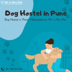 Dog Boarding Services in Pune, Maharashtra: Mr n Mrs Pet offers the best home-based dog boarding service in Pune near you. Like dog daycare, drop-in visits, house sitting, and a dog hostel in Pune.
VISIT SITE : https://www.mrnmrspet.com/dog-hostel-in-pune

