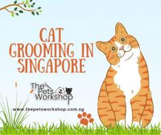 Cat grooming Singapore services have become essential for cat owners seeking to ensure their furry friends are not only well-groomed but also healthy and happy. A significant aspect of this care is the meticulous management of your cat’s skin.

Why Cat Skin Care Matters:

Healthy Coat: Cat skin health is directly linked to the quality of their fur. Regular grooming helps distribute natural oils, keeping the coat shiny and reducing shedding.

Early Detection: Groomers often spot skin issues early, such as irritations, infections, or parasites, allowing for prompt treatment.

Comfort: Cats with healthy skin are more comfortable. Regular brushing helps prevent matting, which can be painful.

How to Manage Cat Skin:

Regular Brushing: Brush your cat’s fur regularly to distribute oils, prevent matting, and reduce shedding. Long-haired breeds may require daily brushing, while short-haired cats can benefit from weekly sessions.

Bathing: While cats are generally self-groomers, occasional baths are necessary, especially for outdoor cats. Use cat-specific shampoos and introduce baths gradually to minimize stress.

Skin Checks: During grooming sessions, pay attention to your cat’s skin. Look for redness, bumps, or signs of irritation. If you notice anything unusual, consult a vet or groomer.

Diet: A well-balanced diet supports healthy skin. Ensure your cat gets the right nutrients, including essential fatty acids.

Cat grooming services not only enhance your cat’s appearance but also contribute to their overall health and well-being, making them happier and more comfortable in their own skin.

Click this site : https://www.thepetsworkshop.com.sg/