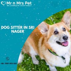 Are You Looking for Dog Boarding Services in Sri Nagar? Your beloved pet will enjoy a comfortable and safe stay at our expertly managed facility. Count on us to provide you with the best care and a great time! Book your Dog Boarding in Sri Nagar online today and be worry free; Contact us now for a rewarding dog hostel experience!
visit site : https://www.mrnmrspet.com/dog-hostel-in-srinagar-jk
