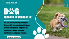 Are you looking for Dog Training in Srinagar jk? Our professional trainers provide personalized programs for obedience training, behaviour modification, and puppy training. Build a strong bond with your furry friend using positive reinforcement techniques. Book your dog trainer in Srinagar jk online today and be worry-free; Contact us now for a rewarding training experience!

View Site: https://www.mrnmrspet.com/dogs-training-in-srinagar-jk
