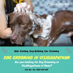 Dog Groomers in Visakhapatnam	

Are you Looking for Dog Groomers in Visakhapatnam at Home? Our expert and certified pet groomers in Visakhapatnam will come to your home and groom your pet. Book your dog groomers in Visakhapatnam today and be worry-free; Contact us now for a rewarding grooming experience!

View Site: https://www.mrnmrspet.com/dog-grooming-in-visakhapatnam

