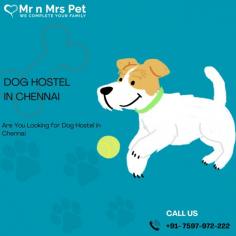 Dog Boarding Services in Chennai, Tamil Nadu: Mr n Mrs Pet offers the best home-based dog boarding service in Chennai near you. Like dog daycare, drop-in visits, house sitting, and a dog hostel in Chennai
visit site : https://www.mrnmrspet.com/dog-hostel-in-chennai
