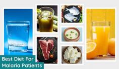 Learn about the best food for malaria patients to boost immunity. In this article, you’ll know about what foods are included in a malaria diet chart like fruits, soups, etc. Find the best malaria patient diet at Livlong.