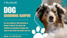 Dog Groomers in Kanpur	

Are you Looking for Dog Groomers in Kanpur at Home? Our expert and certified pet groomers in Kanpur will come to your home and groom your pet. Book your dog groomers in Kanpur today and be worry-free; Contact us now for a rewarding grooming experience!

View Site: https://www.mrnmrspet.com/dog-grooming-in-kanpur
