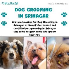 Dog Groomers in Srinagar	

Are you Looking for Dog Groomers in Srinagar at Home? Our expert and certified pet groomers in Srinagar will come to your home and groom your pet. Book your dog groomers in Srinagar today and be worry-free; Contact us now for a rewarding grooming experience!

View Site: https://www.mrnmrspet.com/dog-grooming-in-srinagar-jk
