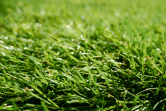 Looking for the best Artificial Grass Supplier? Check out Artificial Grass GB!

Artificial grass is designed to seem like natural grass. The non-toxicity and softness of artificial grass are its biggest advantages. If you want to know about the best Artificial Grass Supplier, check out Artificial Grass GB, they have the most high-quality and affordable products that’ll surely fit your requirements.
