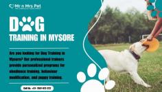 Dog Training in Mysore	

Are you looking for Dog Training in Mysore? Our professional trainers provide personalized programs for obedience training, behaviour modification, and puppy training. Build a strong bond with your furry friend using positive reinforcement techniques. Book your dog trainer in Mysore online today and be worry-free; Contact us now for a rewarding training experience!

View Site: https://www.mrnmrspet.com/dogs-training-in-mysore
