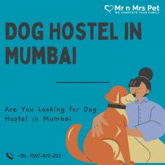 Dog Boarding Services in Mumbai, Maharashtra: Mr n Mrs Pet offers the best home-based dog boarding service in Mumbai near you. Like dog daycare, drop-in visits, house sitting, and a dog hostel in Mumbai.
