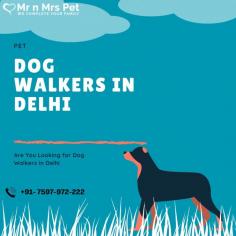 Dog Walkers in Delhi NCR : Book a highly-trained dog walker & dog walking service in Delhi. We connect Delhi’s best dog walkers & pet sitters near you, who offers insured and secured pet walking services.
VISIT SITE : https://www.mrnmrspet.com/dog-walking-in-delhi
