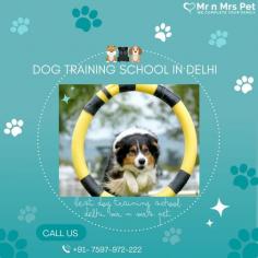 We offer the best Dog Training School Delhi. Mr n Mrs Pet provides pet training services like dog obedience training, behaviour training, dog guard training, and puppy toilet training service in Delhi NCR.

visit site: https://www.mrnmrspet.com/dogs-training-in-delhi
