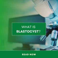 Frozen Blastocyst Transfer: Understand blastocyst and it's process in women infertiliy. Learn about importance of IVF embryo transfer at Indira IVF.