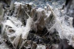 Asbestsanierung Bad Honnef nach TRGS 519 - 02241-2664987

Entsorgenlos - Asbest und Schadstoffsanierung in Bad Honnef. Wir sanieren Ihr Objekt. Jetzt anrufen 02241-2664987.

Website: - https://entsorgenlos.de/asbestsanierung-bad-honnef/
