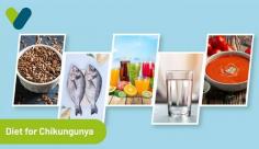 Explore the perfect guide on foods to avoid during chikungunya. Visit Livlong for more information on the diet for chikungunya patients.